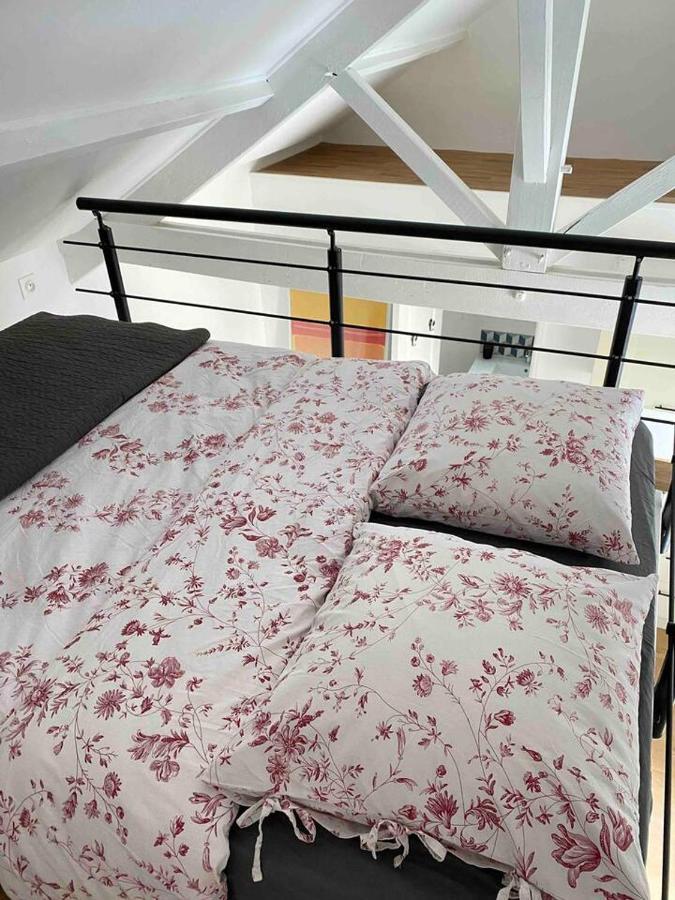 Proche Paris Et Disney-calme Absolu Villa